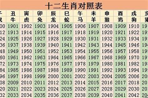 2025年是什么生肖|2025年生肖属什么？